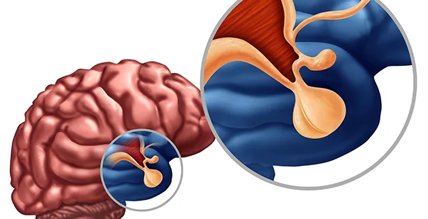 Understanding the Hypothalamus Function, Anatomy, and Importance post img